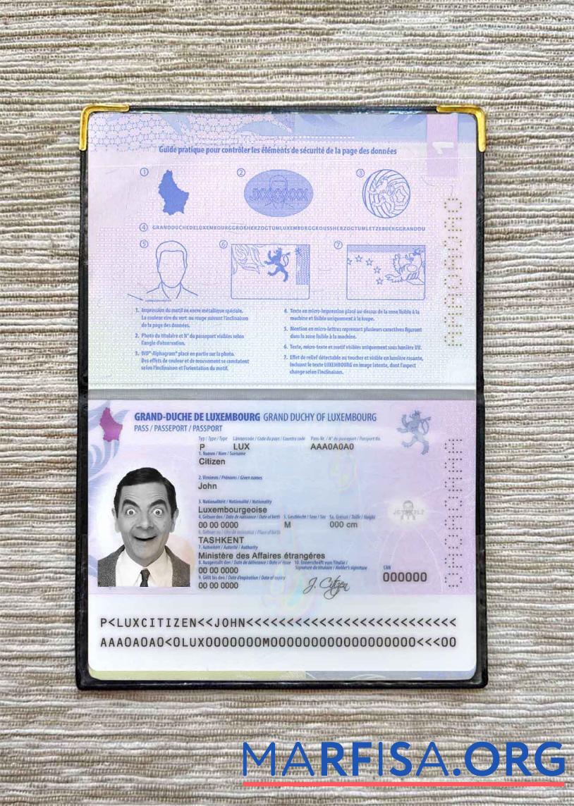 Downloadable Luxembourg passport photo look real example